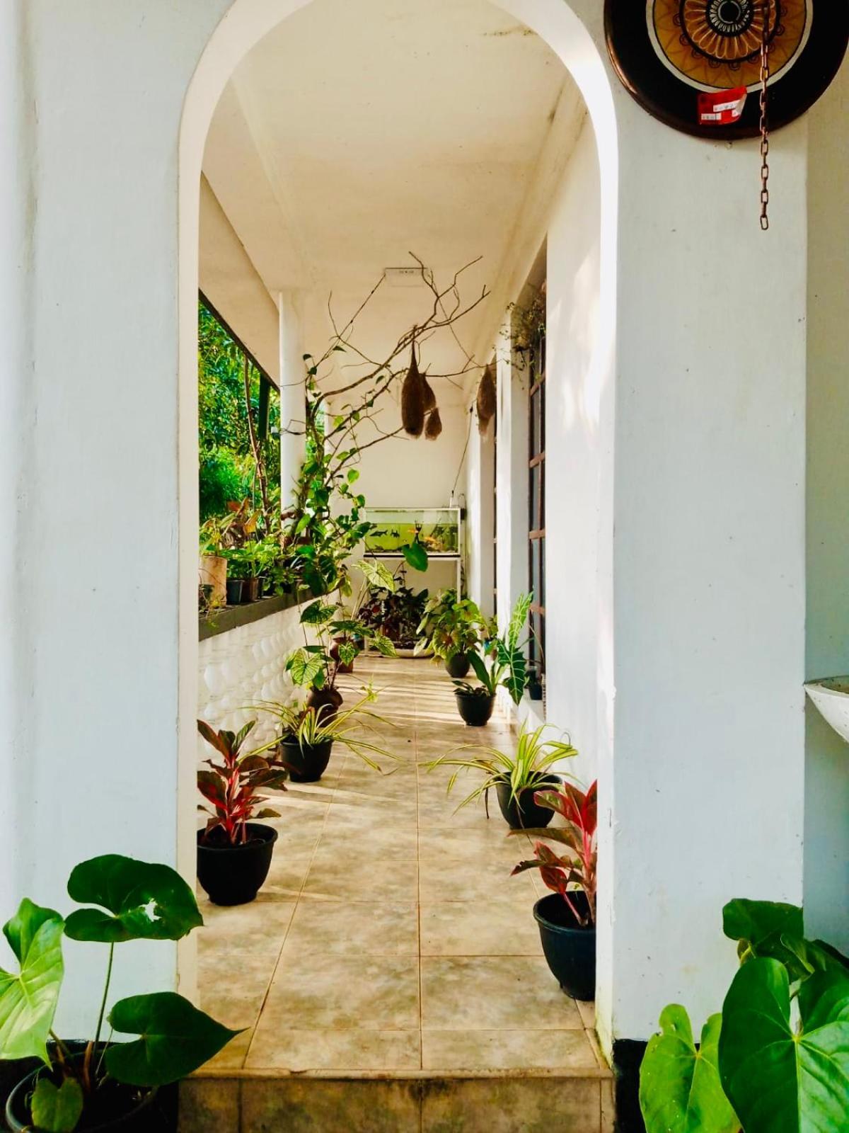 Abhaya Resorts Anuradhapura Kültér fotó